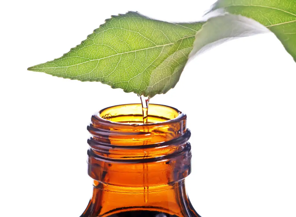 essential oil vs fragrance oil