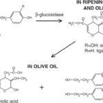 Olive oil